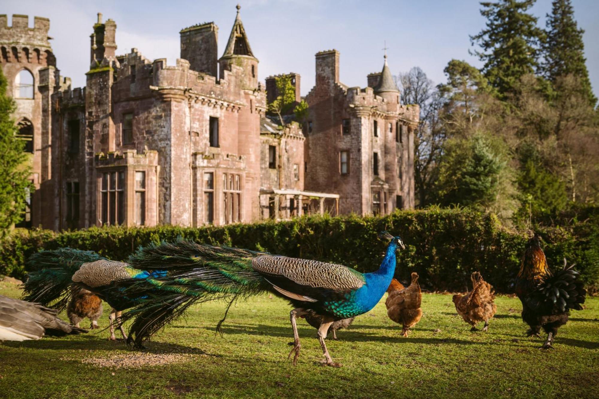 Luxury Woodland Lodge Retreat At Culdees Castle Crieff Exterior foto
